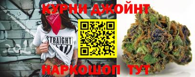 мдпв Партизанск