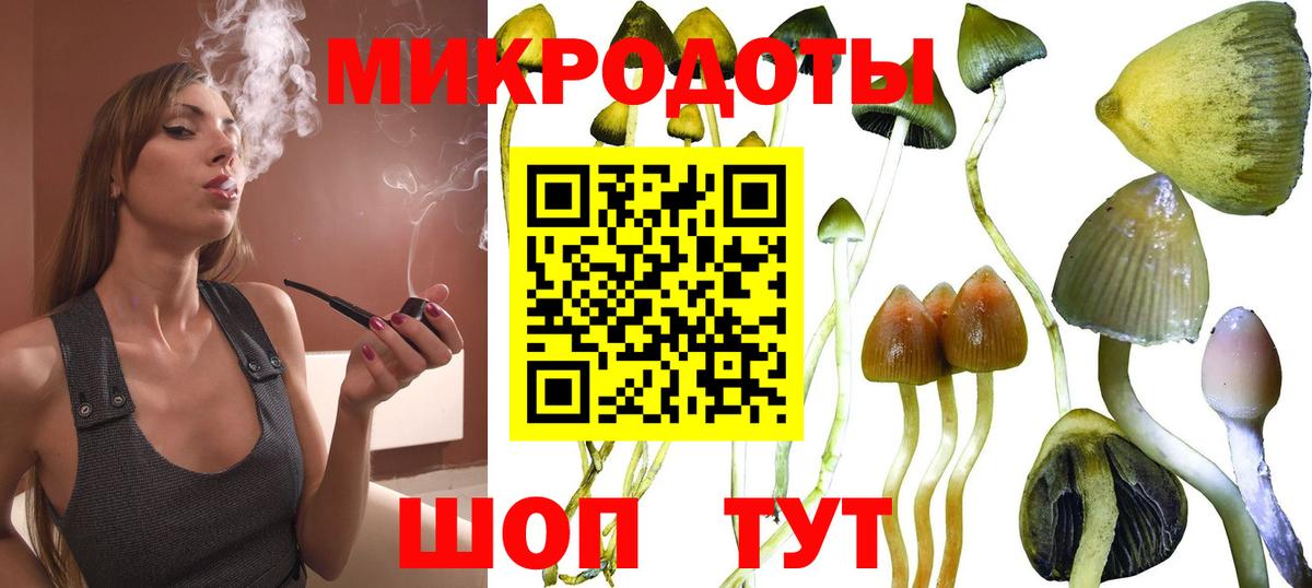 Ухта  Галлюциногенные грибы мицелий  Галлюциногенные грибы прущие грибы  Вход с VPN 